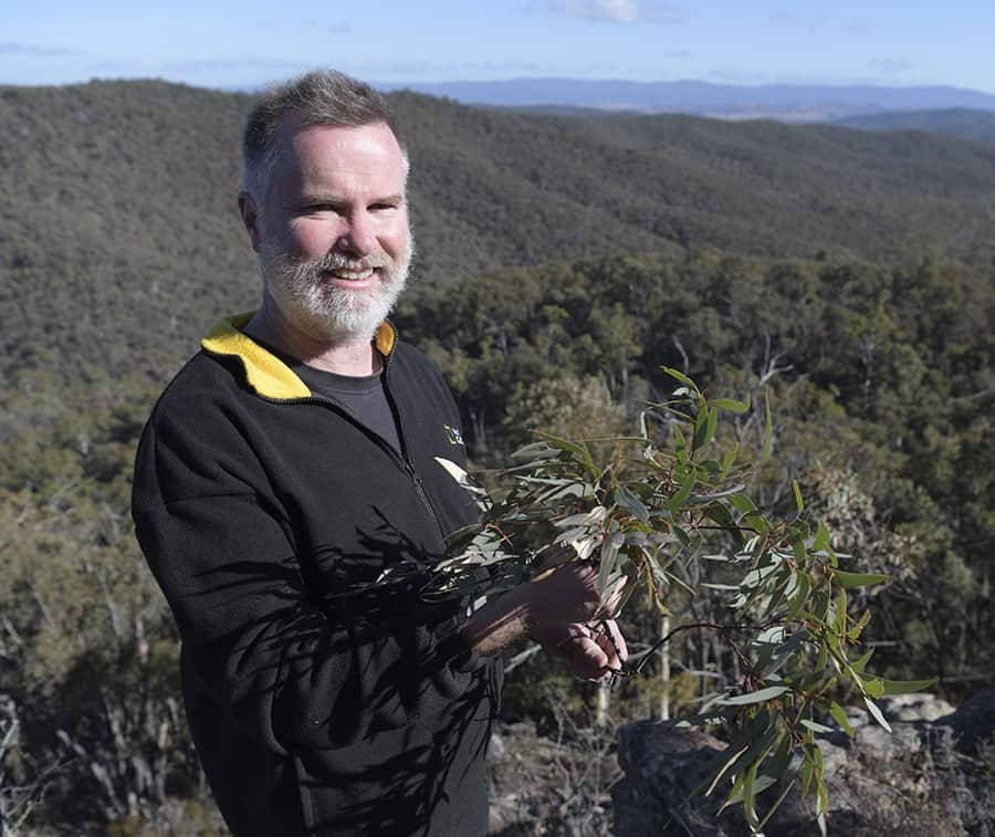 James Fitzgerald holding gum leaves