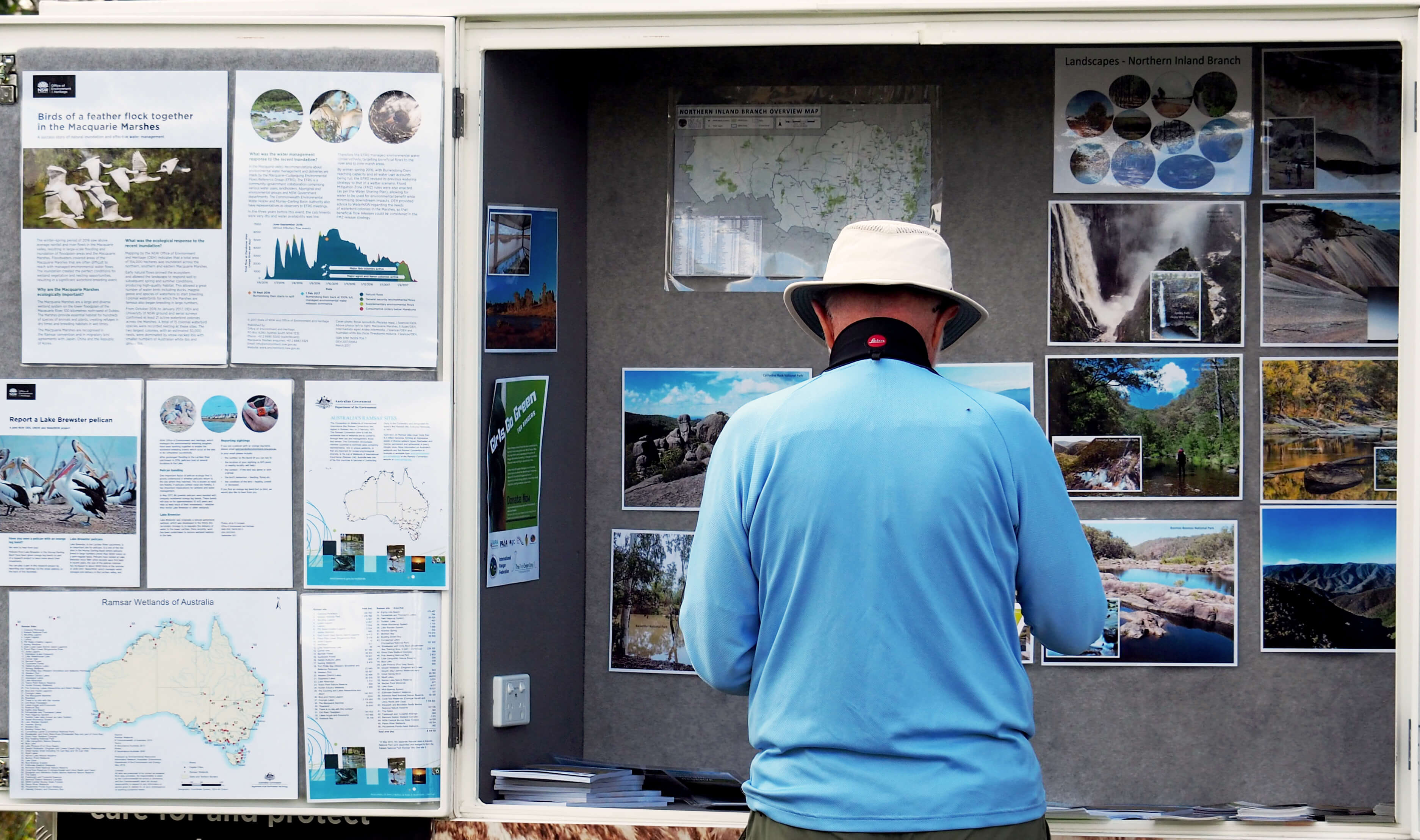 Person engrossed in reading colourful notices on notice board in nature reserve