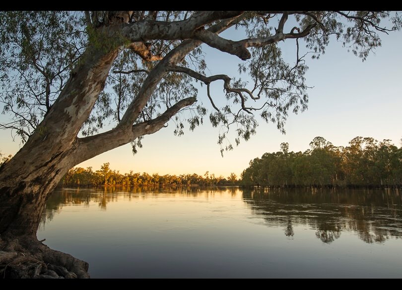 The still waters of the Murray River at dawn