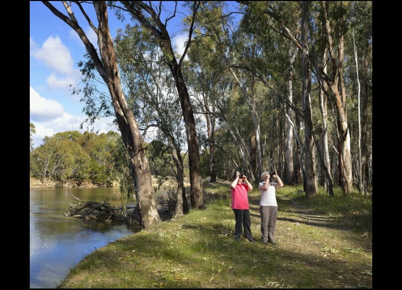 Two women are birdwatching in the Murrumbidgee Valley National Park