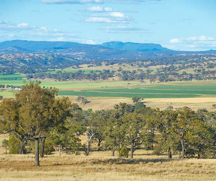 Country landscape between Dubbo and Newcastle