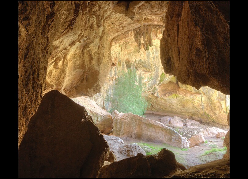 Inside the Arch Cave in the Borenore Karst Conservation Reserve