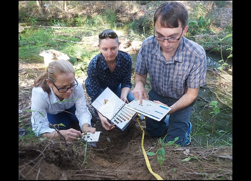 Describing a soil profile and recording its description in eDIRT using a tablet. 