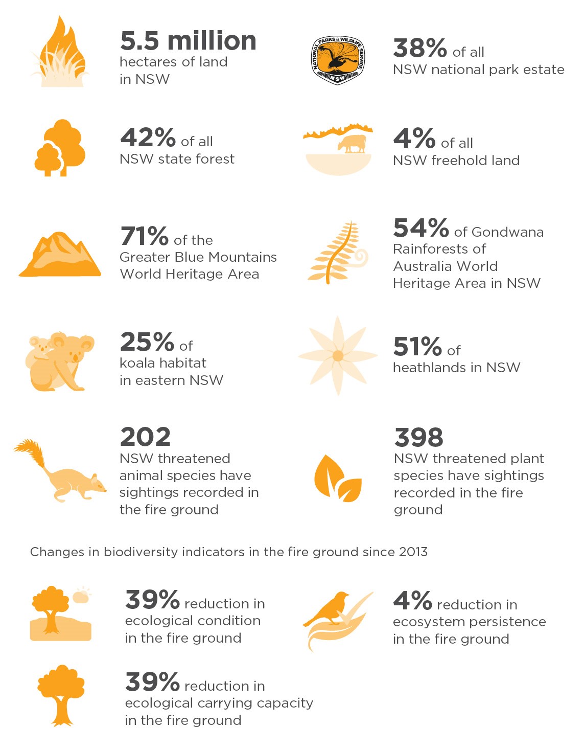 The image is an infographic about New South Wales (NSW), Australia. It shows land and wildlife stats. For example, NSW owns 42% of state forests and 4% of parks. It also has 71% of the Greater Blue Mountains World Heritage Area and 54% of freehold lands. In wildlife, 25% of koalas live in eastern NSW, and 51% of heathlands are in NSW. The data also reveals threats to biodiversity. Since 2013, 212 animal species and 398 plant species have been at risk. However, plant species in fire zones have decreased. 