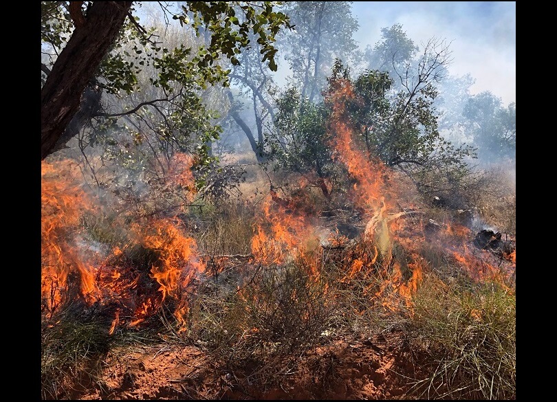 Hazard reduction burn at Ledknapper Nature Reserve.