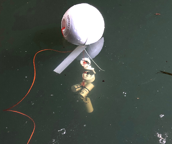 A passive sampler weighed down by weights in the water with a buoy floating on the surface.