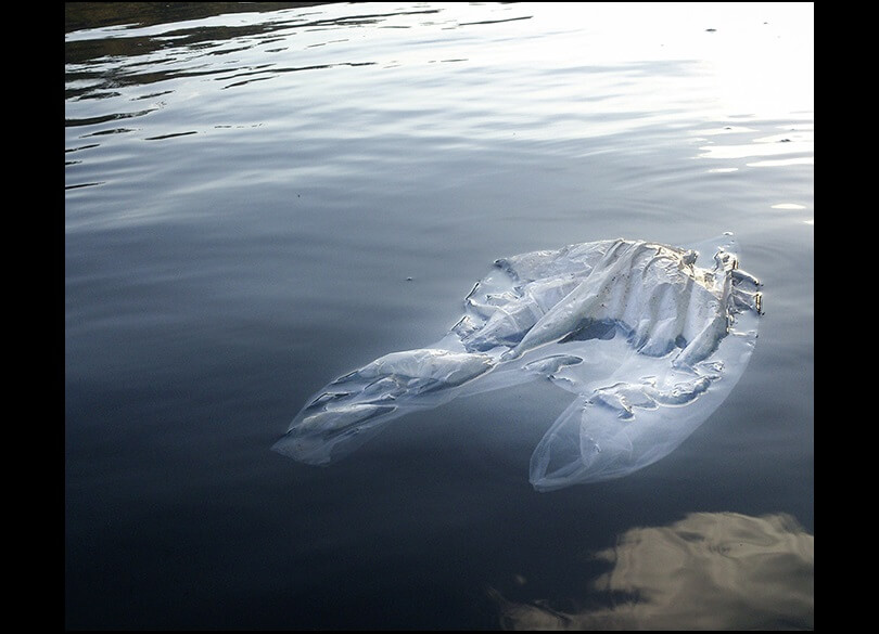 A discarded plastic bags floats near the surface of a lake