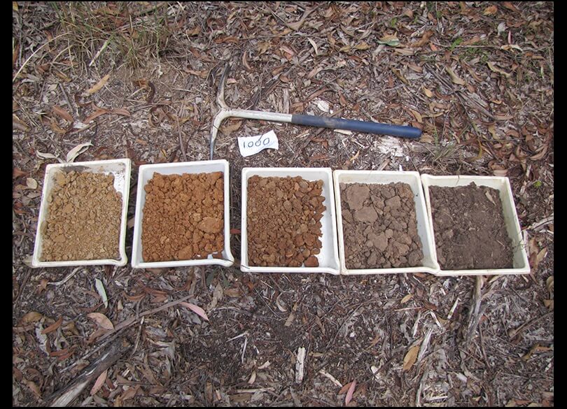 Collecting and describing profiles in the Quorrobolong region in the Hunter catchment NSW.