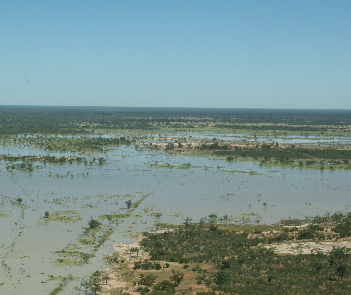 Aerial shot of flooding. Tree tops can be seen sticking out of the water.