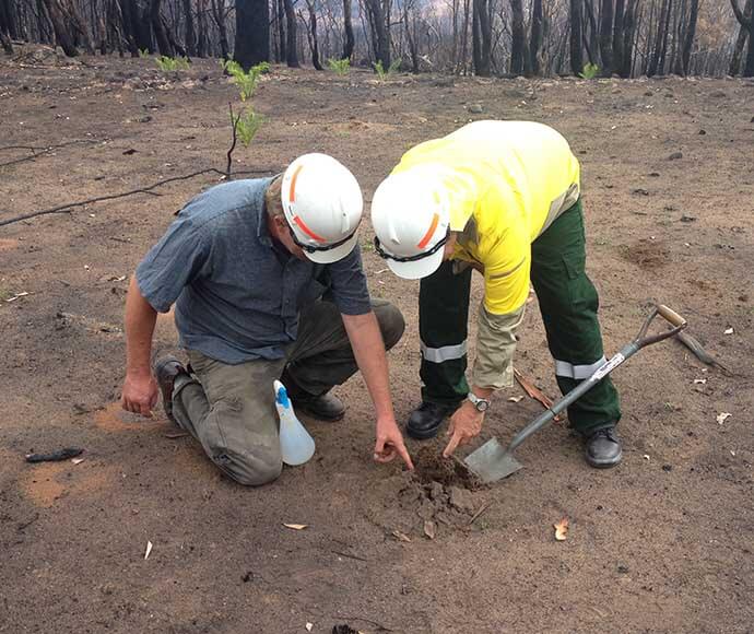 Two professionals in safety gear inspecting taking soil samples on a dirt field with burnt trees in the background