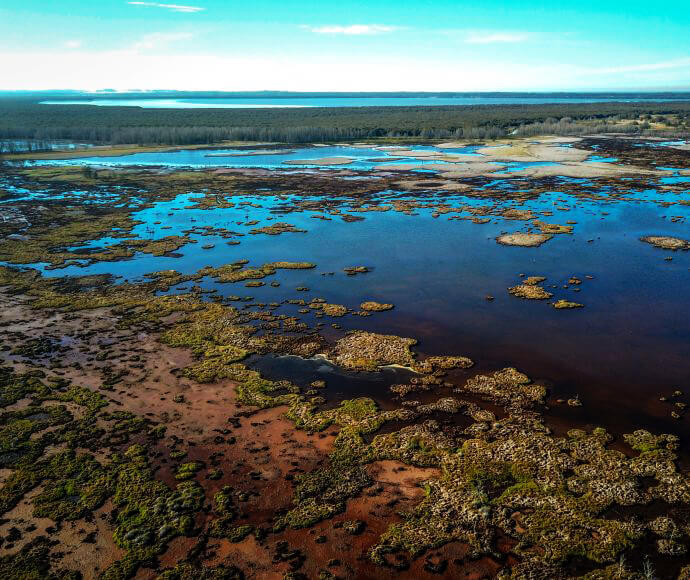 Tomago Wetlands