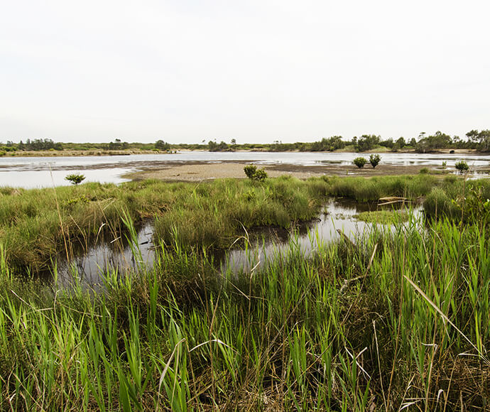 RAMSAR wetland Towra Point Nature Reserve