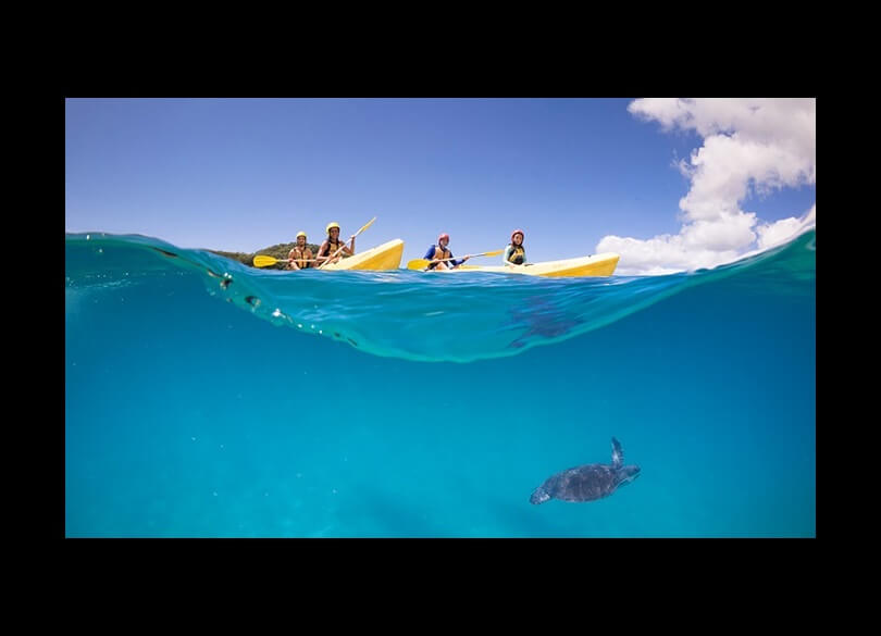 Two people are enjoying a peaceful paddle in two bright yellow kayaks on the water while a majestic sea turtle gracefully swims below in the Cape Byron State Conservation Area.