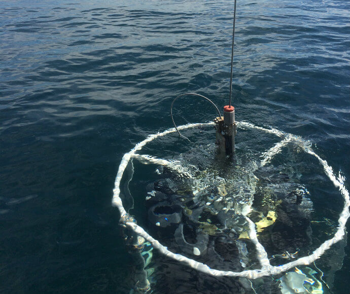 Collecting temperature and salinity data and samples from ocean water to analyse for nutrients, carbon and plankton.