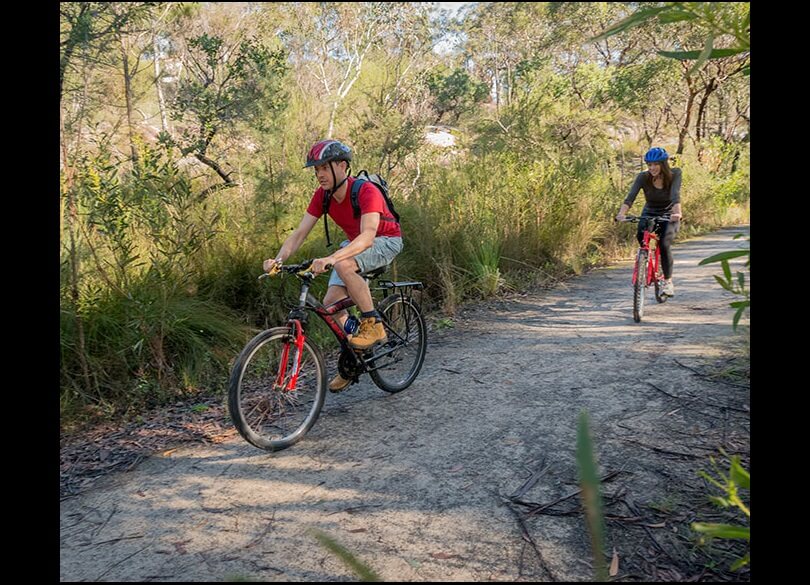 Two mountain bike riders going along the Garigal National Park bike track, surrounded by a dense forest.