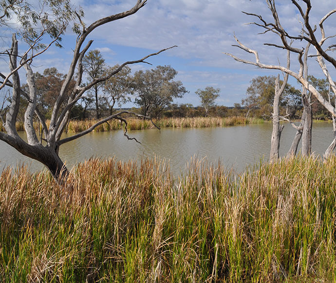 Gwydir Wetlands in the North West Slopes region of north-eastern New South Wales