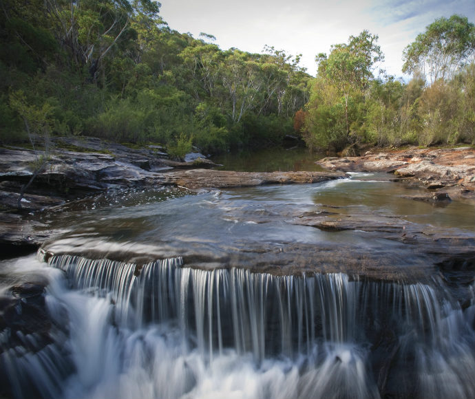 A small, cascading waterfall over layered rocks in a serene forest setting with lush greenery surrounding the water, at Heathcote National Park