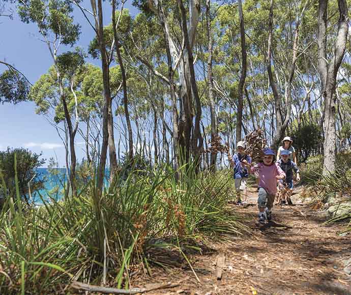 Family walking down a heavily forested scribbly gum track, the ocean is visible in the background at Jervis Bay National Park.