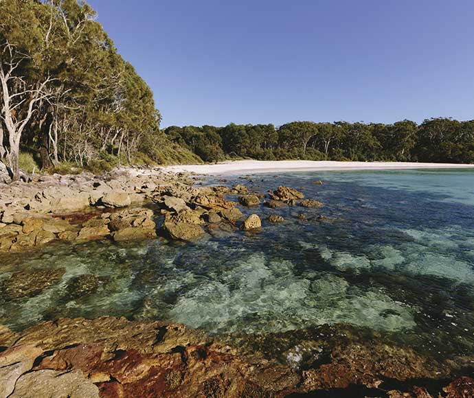 Greenfields Beach with clear turquoise waters gently lapping against a rocky shoreline, bordered by a white sands walk and dense green foliage.