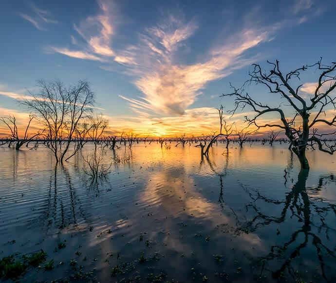 Lake Pamamaroo Menindee Lakes Kinchega National Park