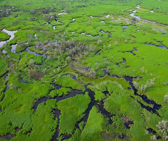 Macquarie Marshes Nature Reserve aerial view