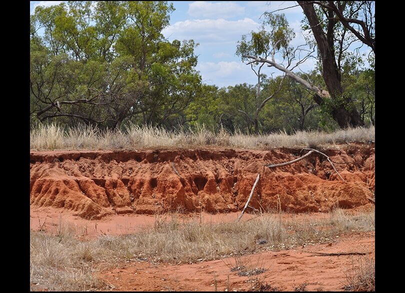 A raised spur reveals Red Chromosol of the sheep-wheat belt in central NSW.