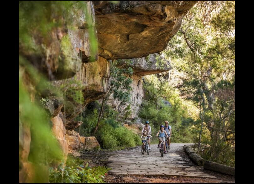 A family enjoying a bike ride along a paved path with a cliff hanging over it and lush green forest all around.