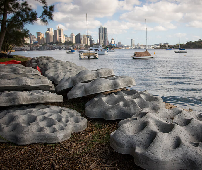 These 3D-printed ‘habitat tiles’ will be mounted on man-made harbour walls to become Living Seawalls to encourage marine wildlife to return