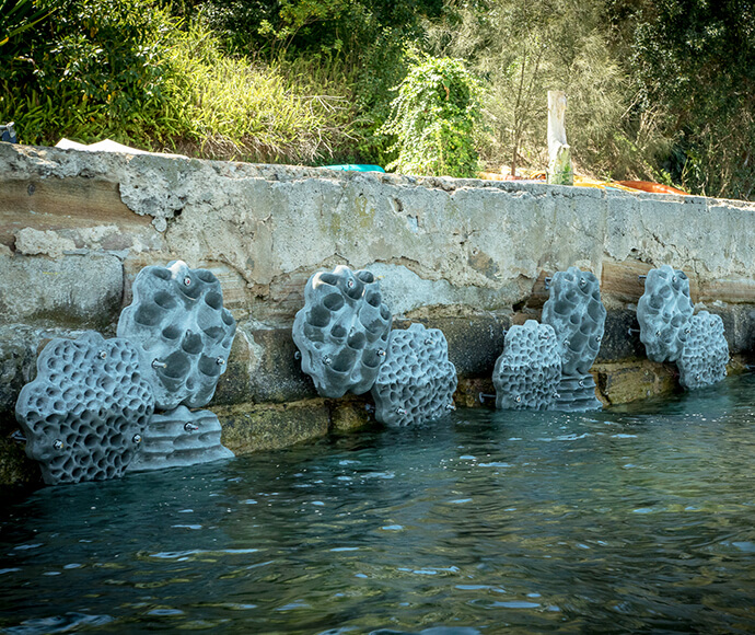 These 3D-printed ‘habitat tiles’ will be mounted on man-made harbour walls to become Living Seawalls to encourage marine wildlife to return