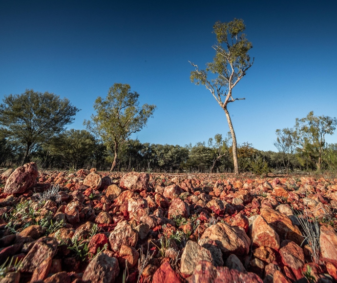 A landscape featuring red, rocky terrain with scattered green vegetation in the foreground, leading to sparse trees under a clear blue sky in the background.