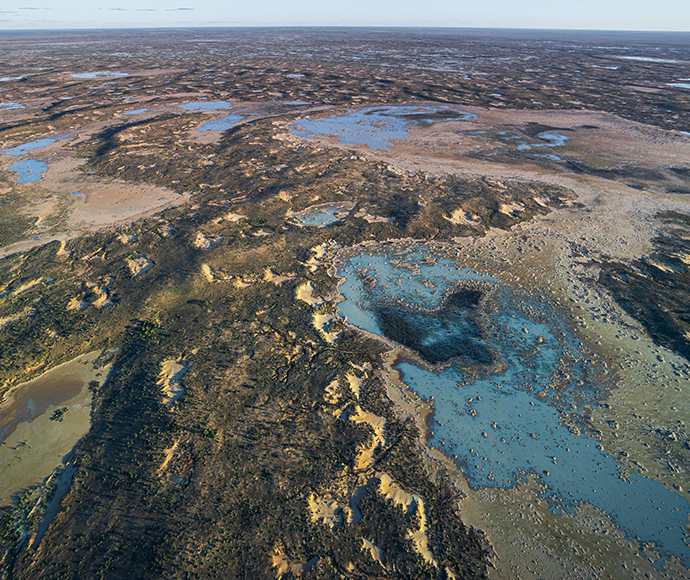 An aerial view of a wetland ecosystem in Thurloo Downs, with various water bodies interspersed among dark vegetated areas, showcasing the natural pattern and biodiversity of the habitat.