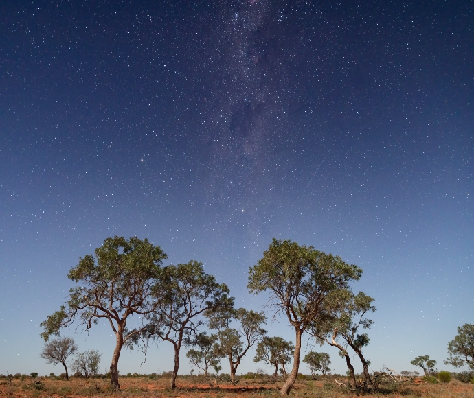 The serene beauty of a starry night in Thurloo Downs, with the Milky Way stretching across the sky. 