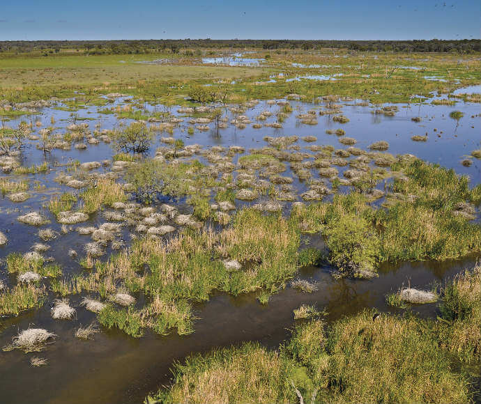 Upper Gingham wetlands, RAMSAR site