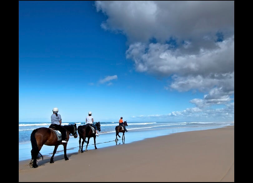 3 people riding horses along the beach at Worimi Conservation Lands.