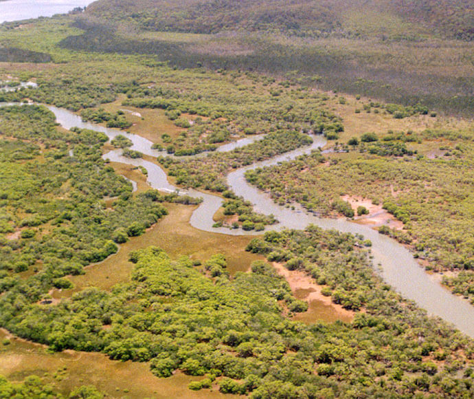 Acid sulfate soils with a narrow channel in mangroves, Gold Coast area