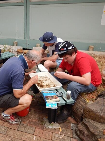 Three people examining specimens of macroinvertebrate on benches with tools and documents.