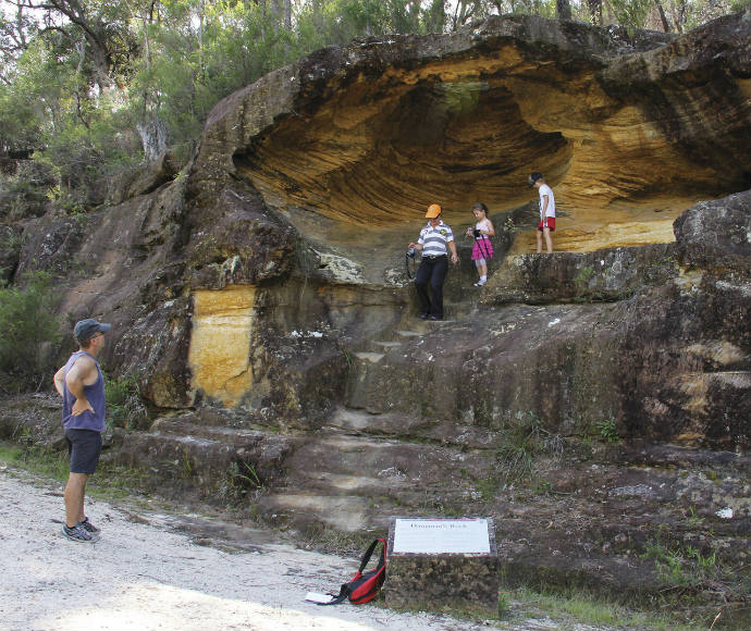 Border Ranges National Park co-managed under an Indigenous Land Use Agreement with the Githabul people, Gondwana Rainforests of Australia