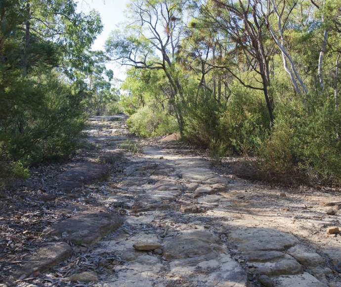 The rocky gum-tree-lined Old Great North Road, Dharug National Park