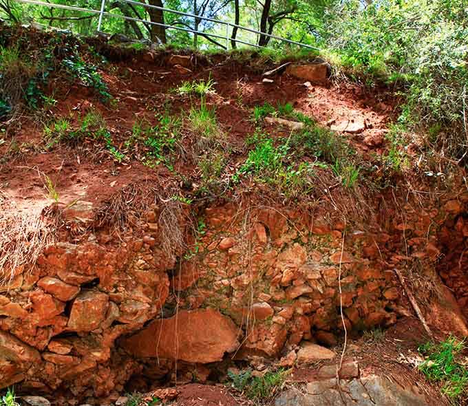 An eroded retaining wall supporting an elevated area of soil and vegetation with trees in the background