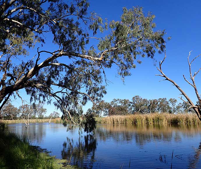 A view of the Gingham Waterhole