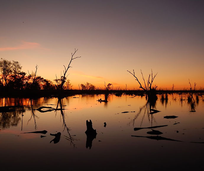 Waterhold at dusk