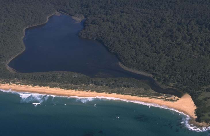 Aerial view of Lake Tarourga with a calm blue lake on one side, surrounded by dense green forests leading up to a sandy beach where white waves crash onto the shore.