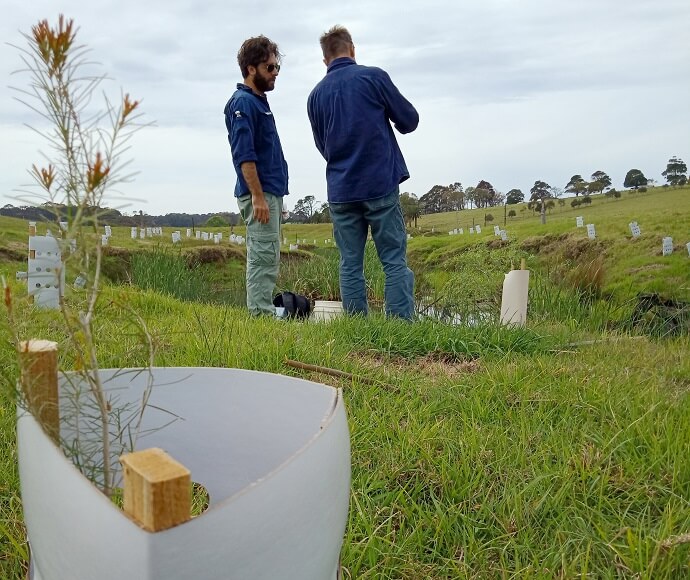 Two people in conversation standing among planted seedlings