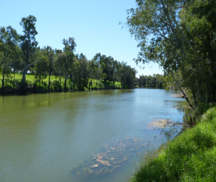 Macquarie River, Dubbo