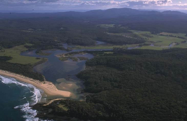 Aerial view of Murrah River estuaries, with dense greenery, showing a curved shoreline on the bottom edge and a river winding through the forest from the top center.