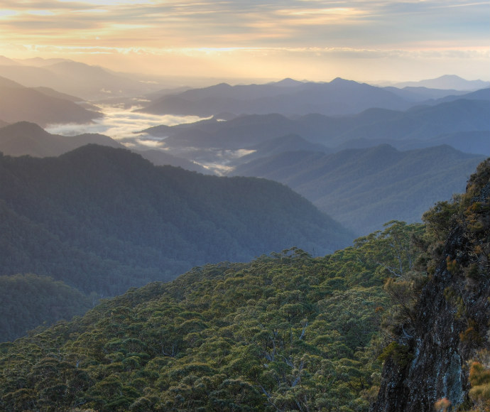 A panoramic view of World Heritage rainforest from the Point lookout in New England National Park 