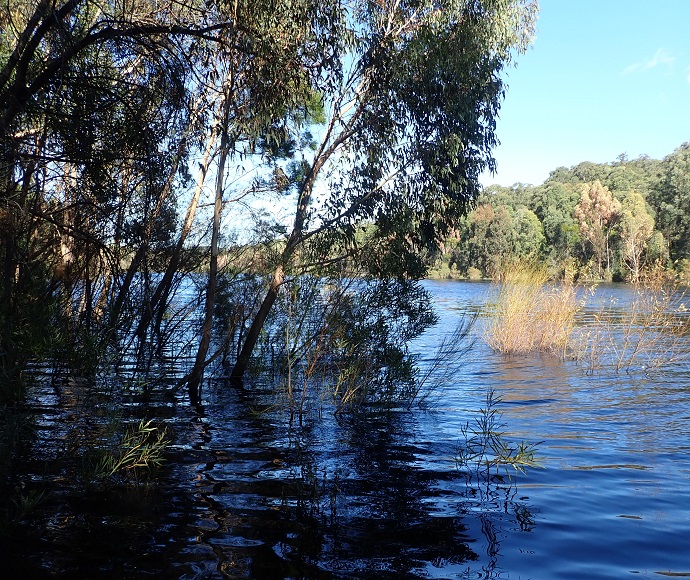 Lake Werri Berri, Thirlmere Lakes, May 2021