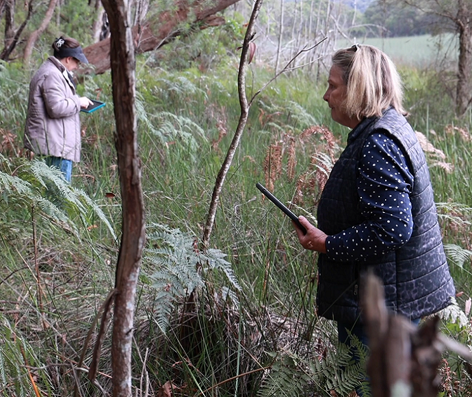 Citizen scientists monitor wetland vegetation