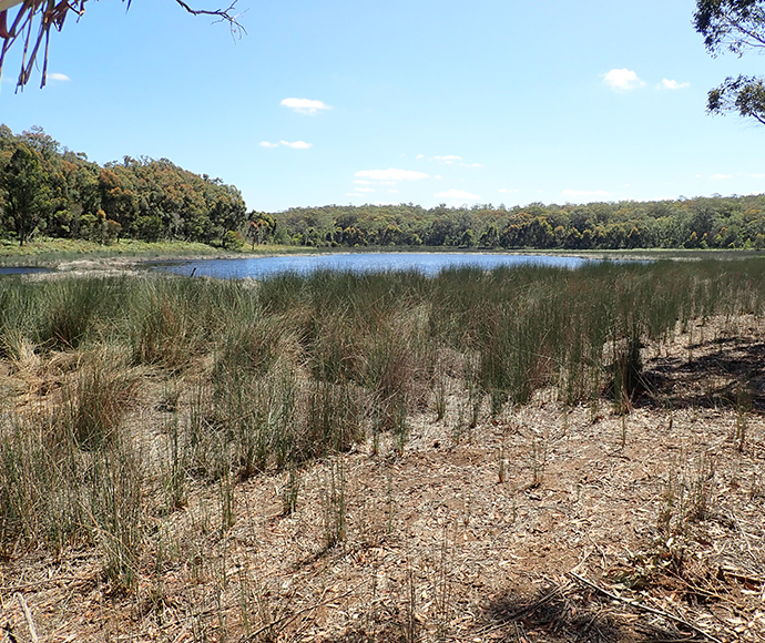 Lake Gandangarra, Thirlmere Lakes, May 2021