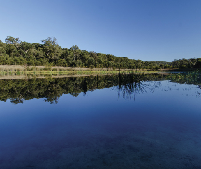 Couridjah picnic area, Thirlmere Lakes National Park 